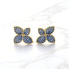 SAM LUCKY COLOR Earrings