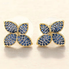 SAM LUCKY COLOR Earrings